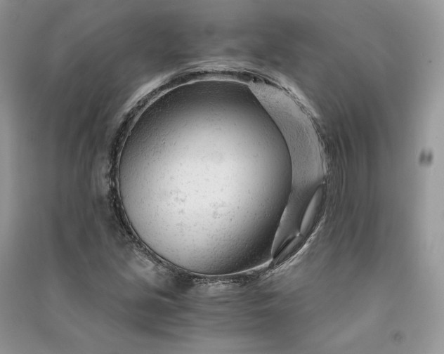 X0000090921213200708131426