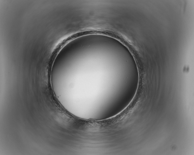 X0000090921214200708131426