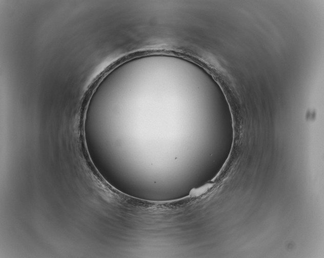 X0000090921216200708131426