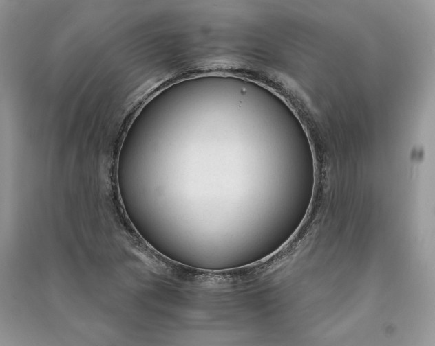 X0000090921217200708131426