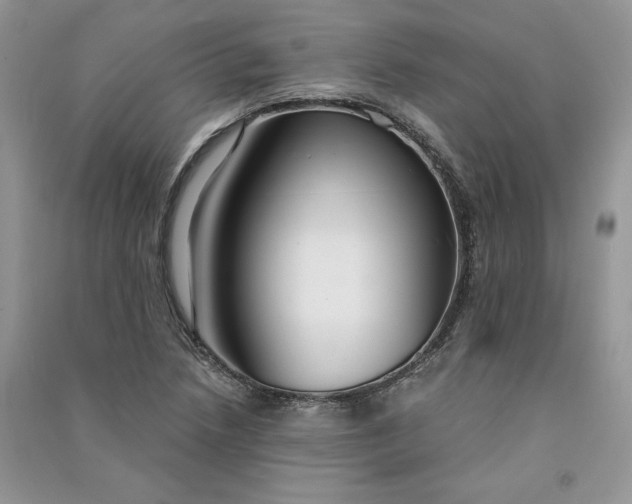 X0000090921218200708131426