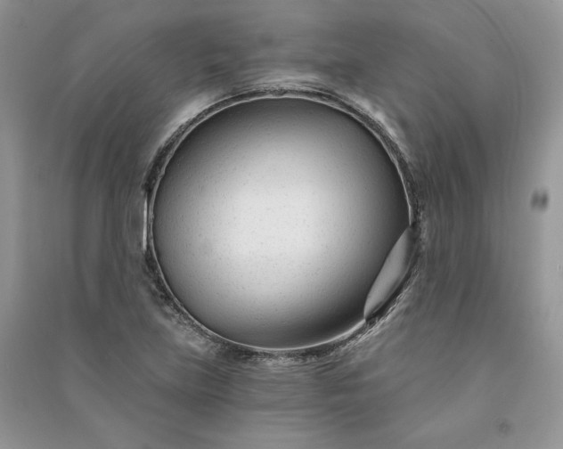 X0000090921219200708131426