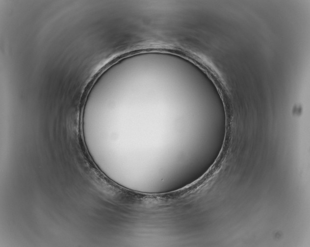 X0000090921220200708131426