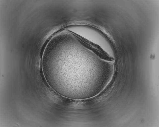 X0000090921221200708131426