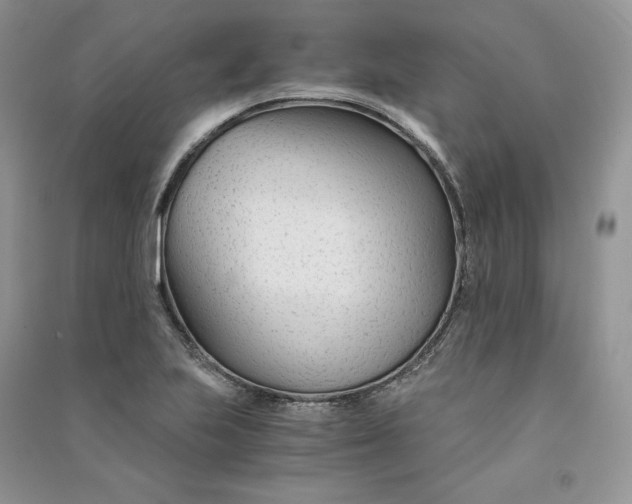 X0000090921223200708131426