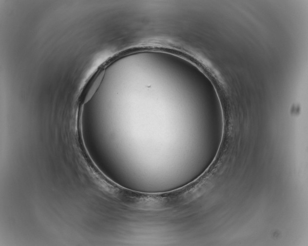 X0000090921224200708131426