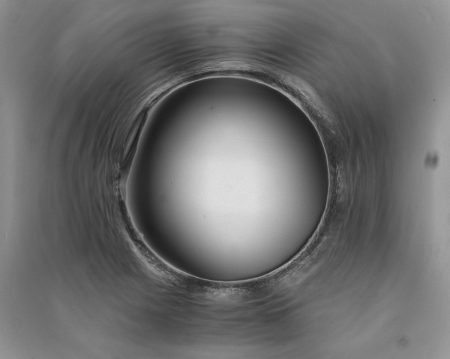 X0000090921225200708131426