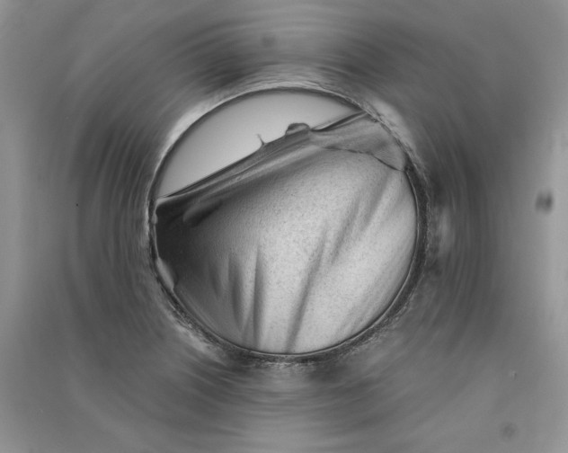 X0000090921226200708131426