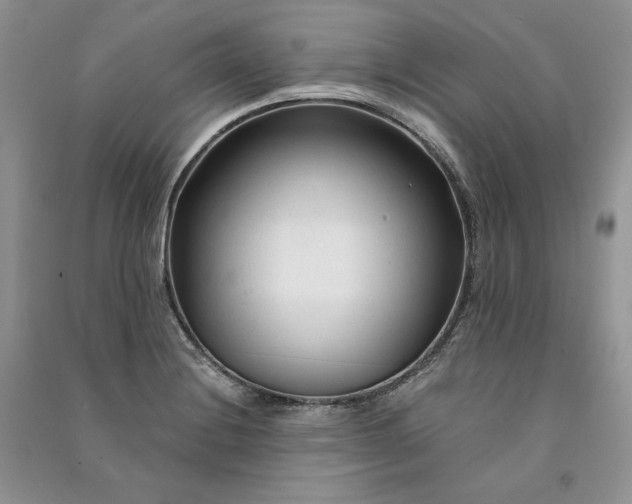 X0000090921228200708131426