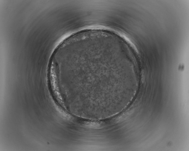 X0000090921229200708131426