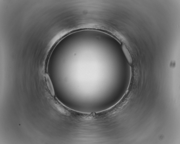 X0000090921230200708131426