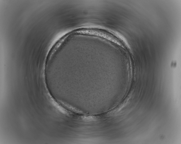 X0000090921231200708131426