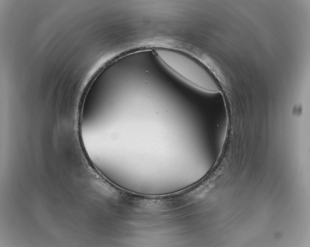 X0000090921232200708131426