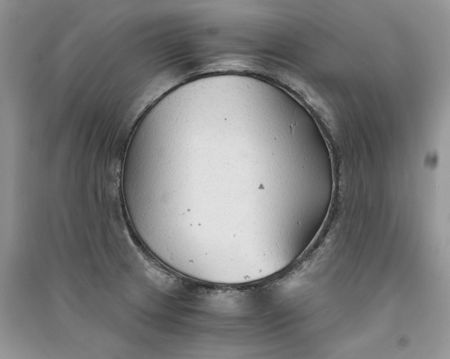 X0000090921233200708131426