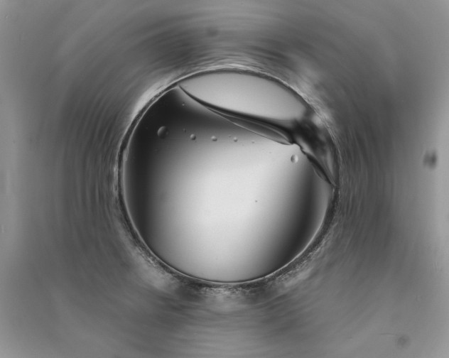 X0000090921234200708131426