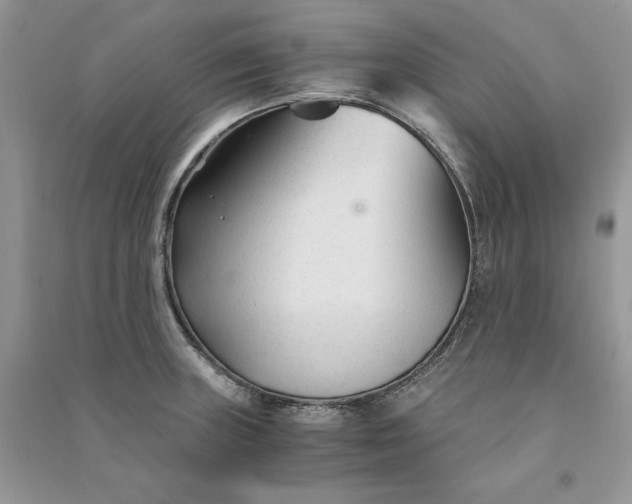 X0000090921235200708131426