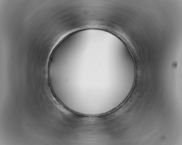 X0000090921236200708131426