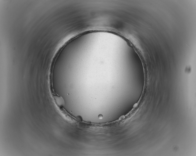 X0000090921237200708131426