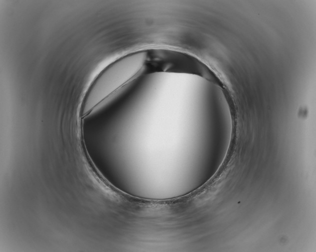 X0000090921238200708131426