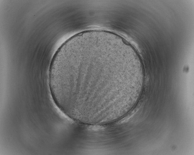 X0000090921239200708131426