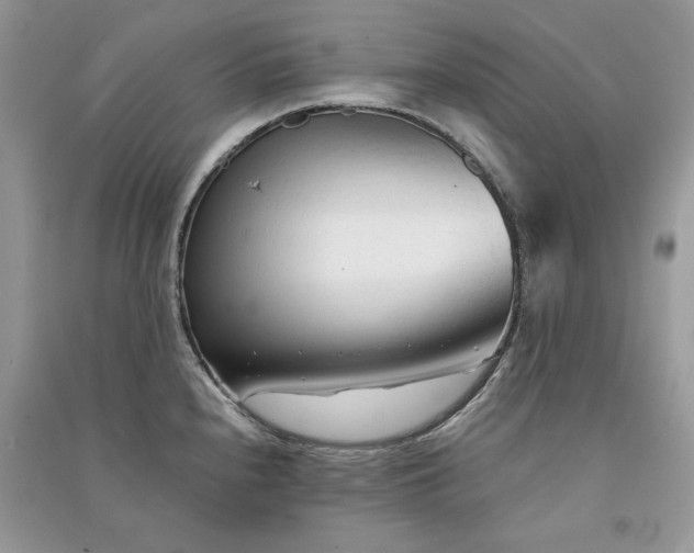 X0000090921240200708131426