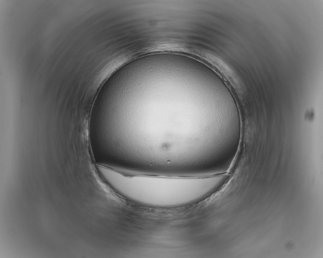 X0000090921241200708131426