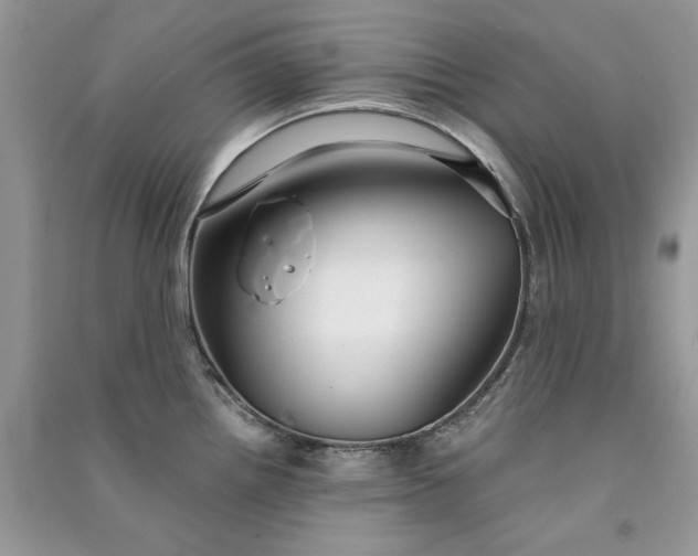 X0000090921242200708131426