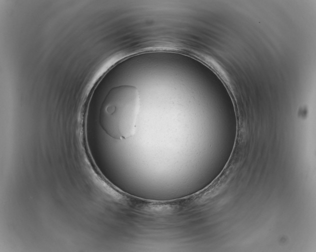 X0000090921243200708131426