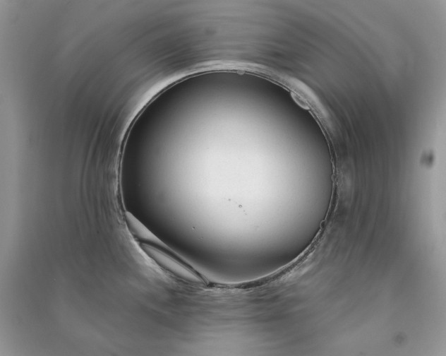 X0000090921244200708131426