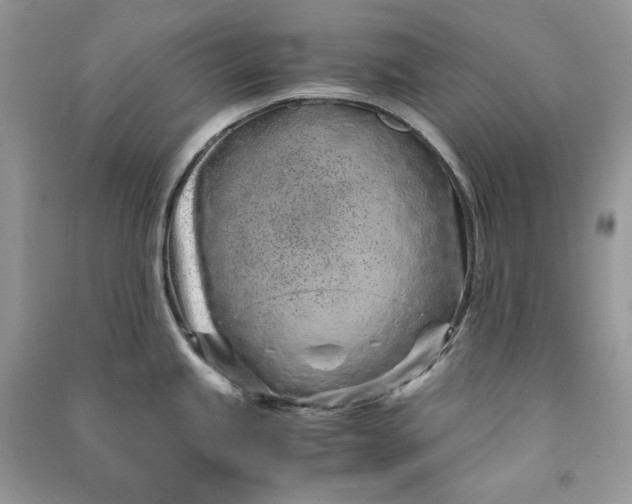 X0000090921245200708131426