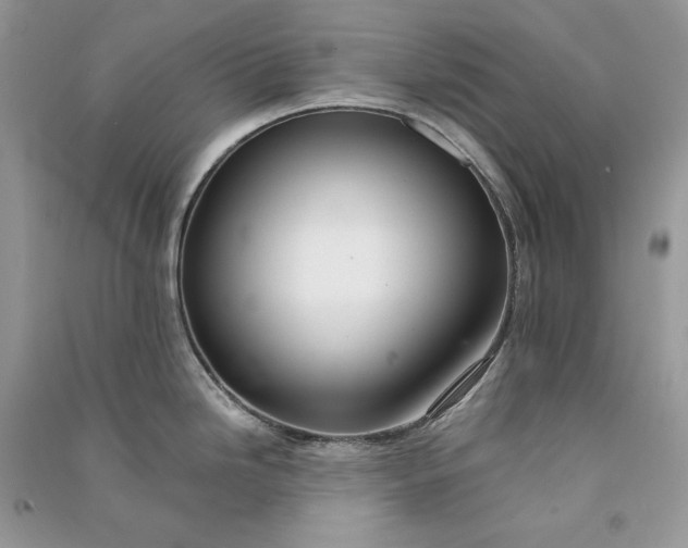 X0000090921246200708131426