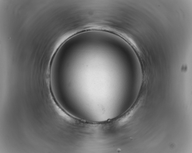 X0000090921247200708131426