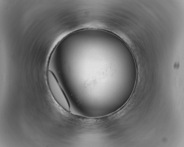 X0000090921248200708131426