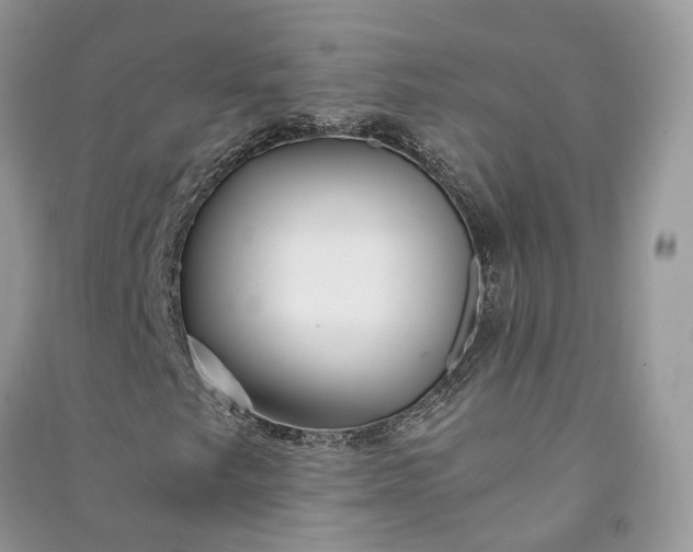 X0000090921249200708131426