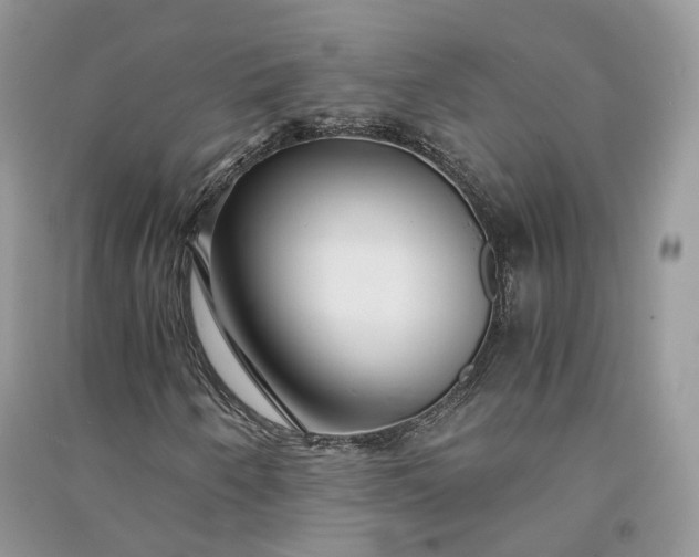 X0000090921250200708131426