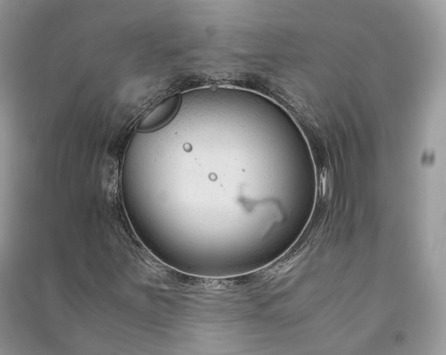 X0000090921251200708131426