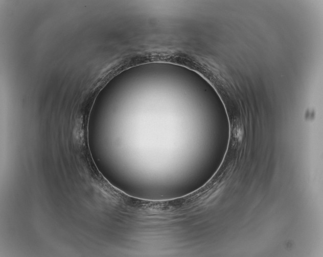 X0000090921252200708131426