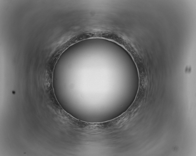 X0000090921253200708131426