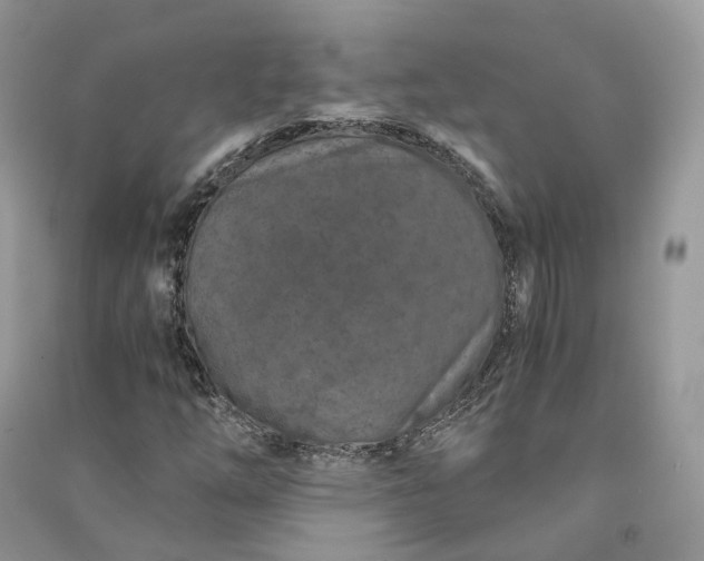 X0000090921254200708131425