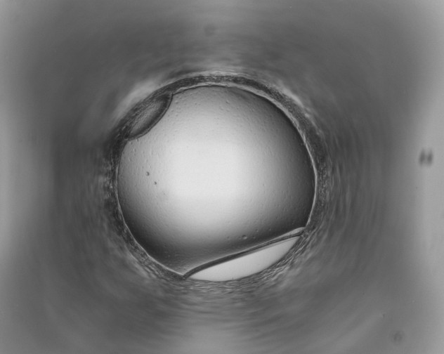 X0000090921255200708131425