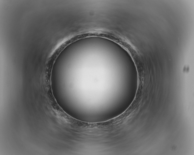 X0000090921256200708131425