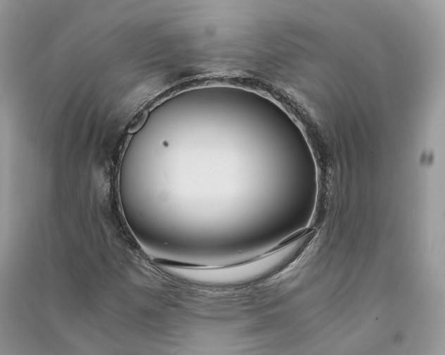 X0000090921257200708131425