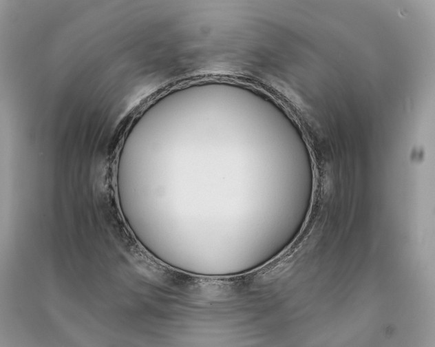 X0000090921258200708131425