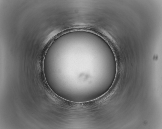 X0000090921259200708131425