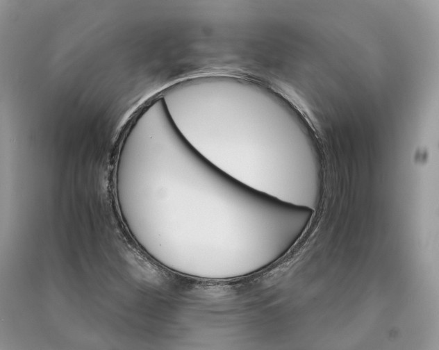 X0000090921260200708131425