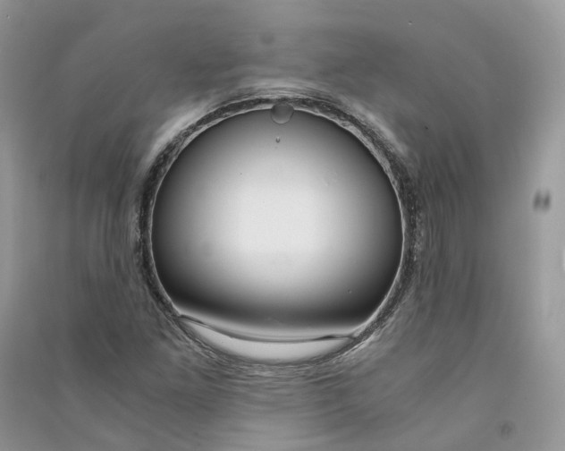 X0000090921261200708131425