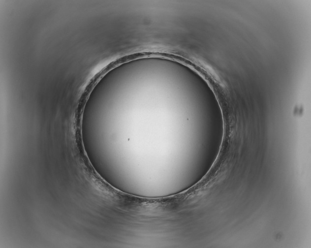 X0000090921264200708131425