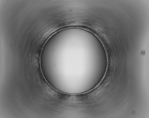 X0000090921265200708131425