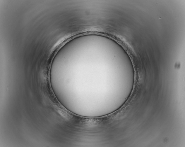 X0000090921266200708131425