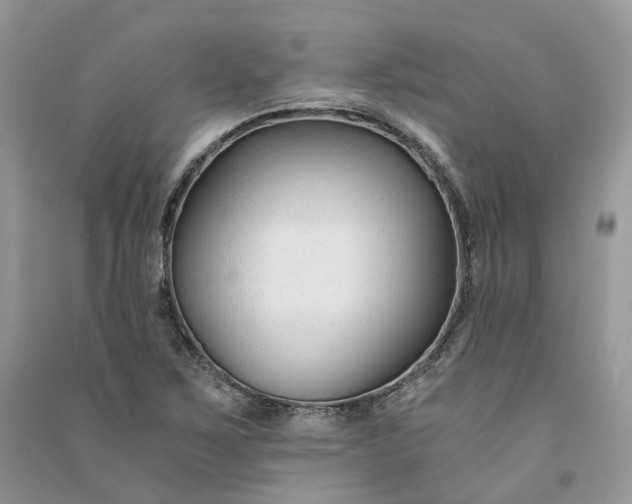 X0000090921267200708131425